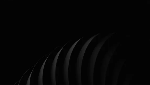 스타르다 카지노 지원